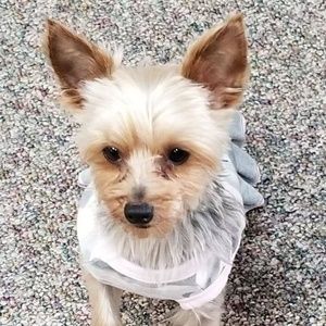 Meet your Posher, Jill